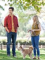 Watch Hometown Hero 123movies