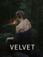 Watch Velvet 123movies