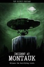 Watch Incident at Montauk 123movies