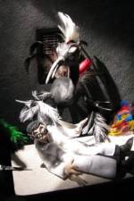 Watch Ornithology 123movies