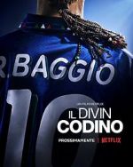 Watch Baggio: The Divine Ponytail 123movies