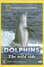 Watch Dolphins: The Wild Side 123movies
