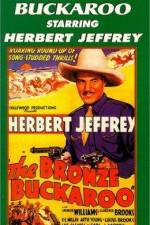 Watch The Bronze Buckaroo 123movies