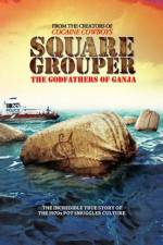 Watch Square Grouper 123movies