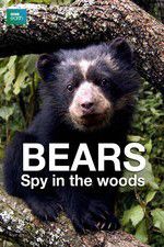 Watch Bears: Spy in the Woods 123movies