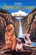 Watch Homeward Bound: The Incredible Journey 123movies