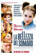 Watch La bellezza del somaro 123movies