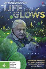 Watch Attenborough\'s Life That Glows 123movies
