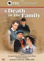 Watch A Death in the Family 123movies