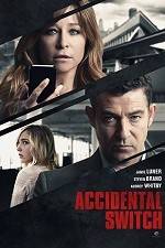 Watch Accidental Switch 123movies