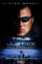 Watch True Justice: Brotherhood 123movies