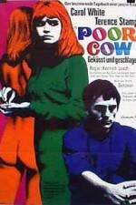 Watch Poor Cow 123movies
