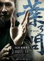 Watch Ip Man 3 123movies