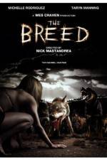 Watch The Breed 123movies