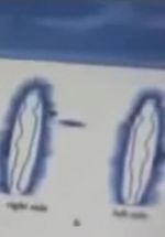 Watch Quantum Communication 123movies