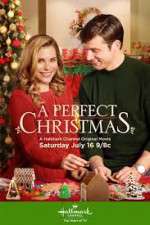 Watch A Perfect Christmas 123movies