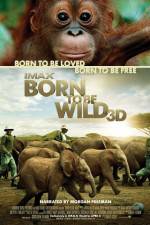 Watch Born to Be Wild 123movies