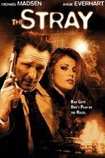 Watch The Stray 123movies