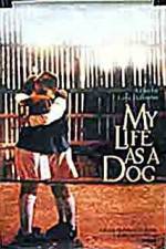 Watch My Life As A Dog 123movies