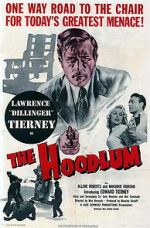 Watch The Hoodlum 123movies