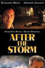 Watch After the Storm 123movies