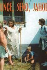 Watch Slunce, seno, jahody 123movies