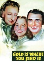 Watch Gold Is Where You Find It 123movies