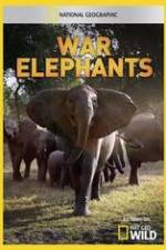Watch War Elephants 123movies