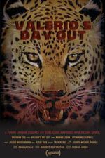 Watch Valerio\'s Day Out (Short 2019) 123movies