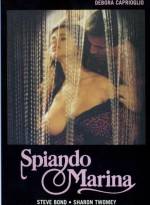 Watch The Smile of the Fox 123movies