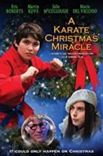 Watch A Karate Christmas Miracle 123movies