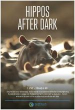 Watch Hippos After Dark 123movies