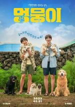 Watch My Heart Puppy 123movies