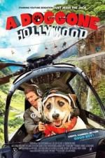 Watch A Doggone Hollywood 123movies