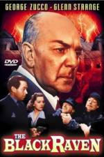 Watch The Black Raven 123movies