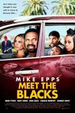 Watch Meet the Blacks 123movies