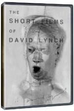 Watch The Short Films of David Lynch 123movies
