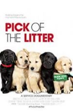 Watch Pick of the Litter 123movies