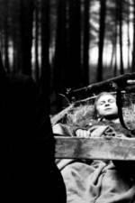 Watch Kocár do Vídne 123movies