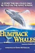 Watch Humpback Whales 123movies