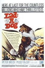 Watch Lad: A Dog 123movies