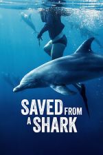 Watch Saved from a Shark 123movies
