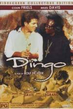 Watch Dingo 123movies
