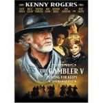 Watch Gambler V: Playing for Keeps 123movies