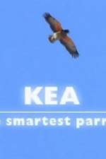 Watch Kea - The Smartest Parrot 123movies