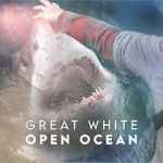 Watch Great White Open Ocean 123movies