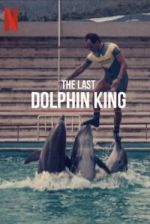 Watch The Last Dolphin King 123movies