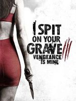 Watch I Spit on Your Grave: Vengeance is Mine 123movies