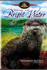 Watch Ring of Bright Water 123movies