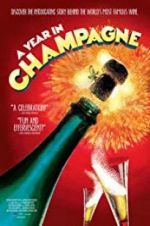 Watch A Year in Champagne 123movies